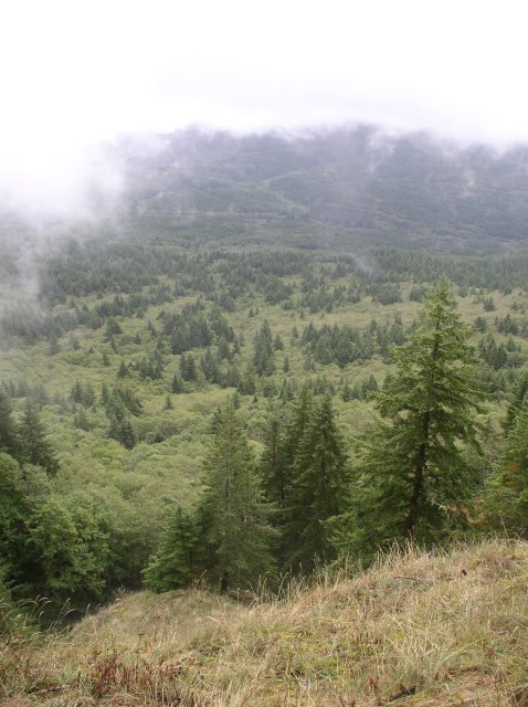 Saddle Mountain Oct 9 2005 016 